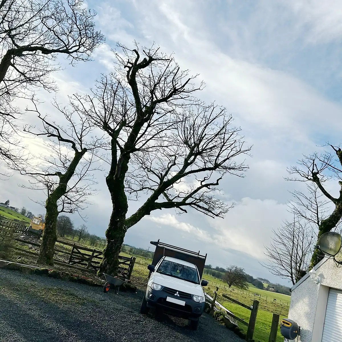 Sycamore Tree Reduction
