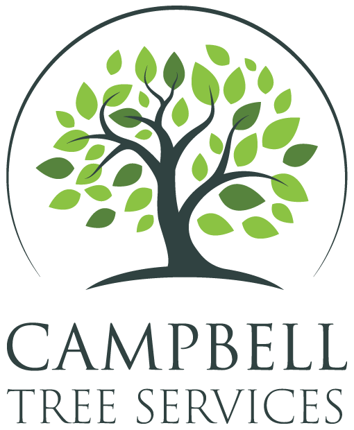 Campbell Tree Services
